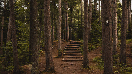 Houffalize Naturellement